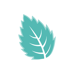 Mintsoft logo