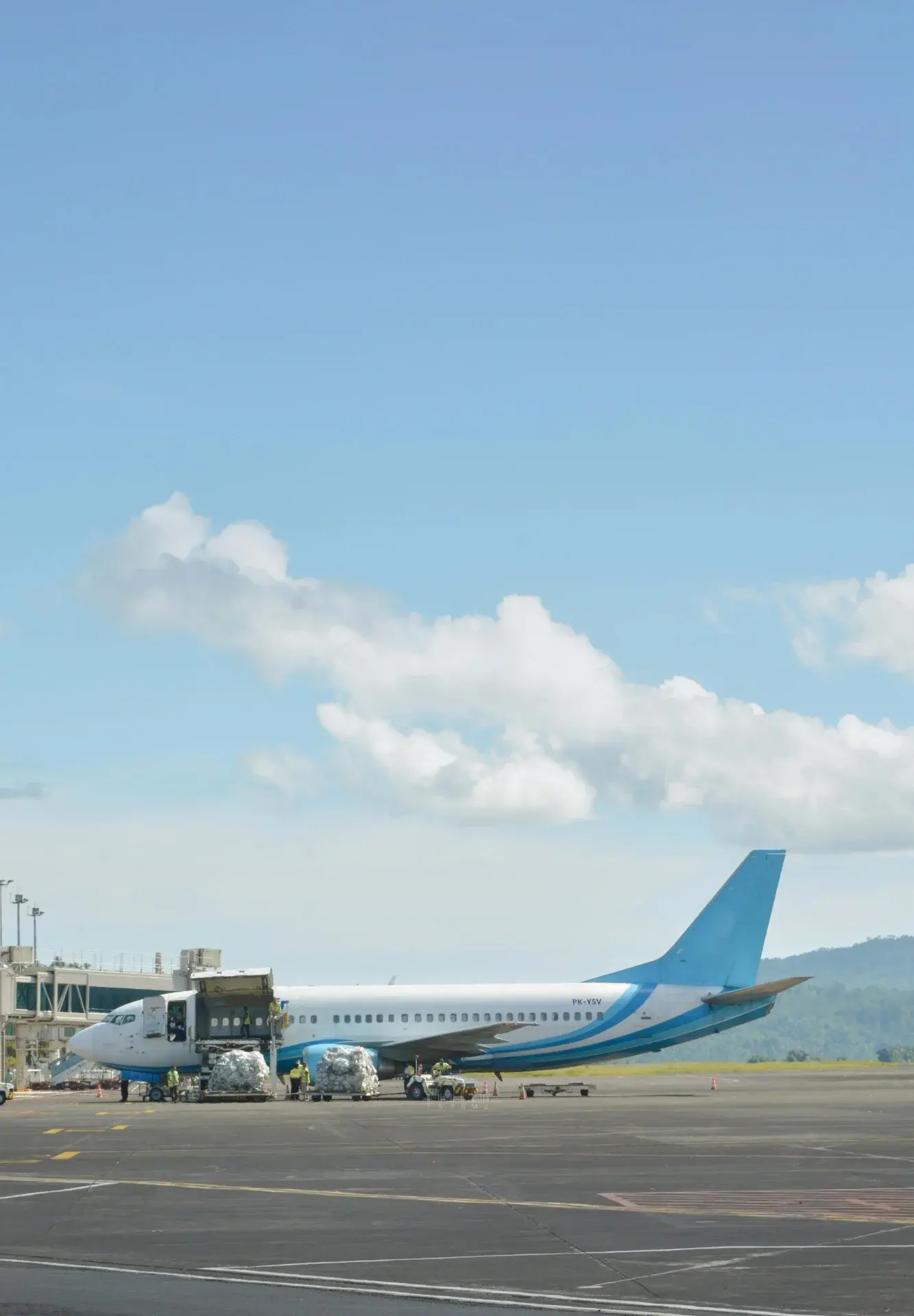 Boeing 737 aircraft being loaded with palletised air freight on the apron